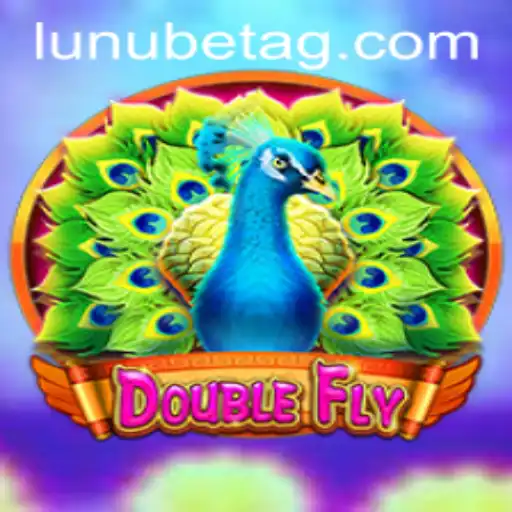 DoubleFly: A New Dimension in Gaming Entertainment